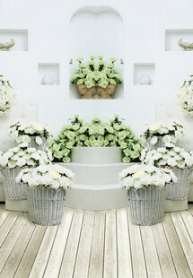 室内绿植装饰景观