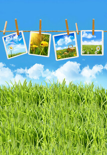 草地上晾晒的风景照片