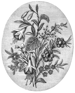 复古花卉植物图案插画