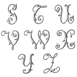 优雅手写装饰英文字母