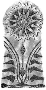 银质向日葵图案饰品