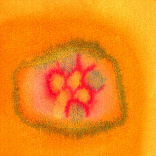 抽象水彩花朵图案