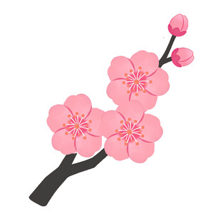 粉色梅花枝
