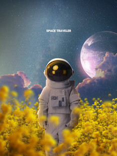 宇航员漫步于梦幻花田