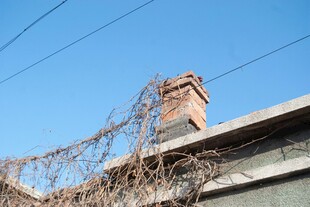 屋顶藤蔓缠绕的老旧烟囱