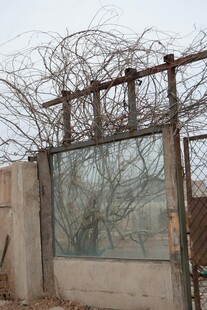 废弃藤蔓缠绕的破旧围栏