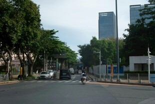 城市街道绿树相伴景象