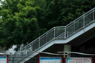 户外金属楼梯与绿树景观