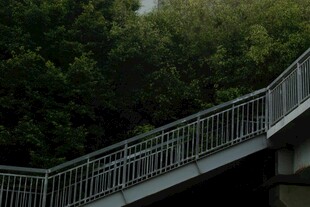 户外金属栏杆环绕绿植