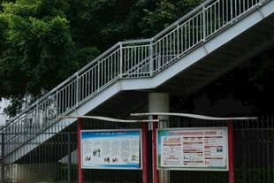 户外楼梯旁的宣传栏