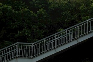 户外金属栏杆观景桥