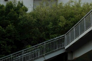 户外金属栏杆与绿植景观