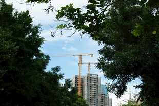 绿树掩映中的在建高楼