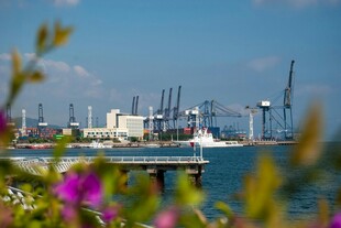 港口风光 繁花点缀海景