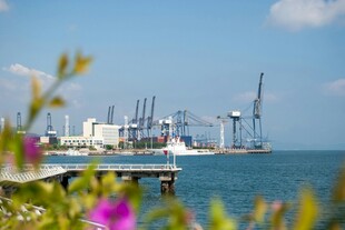 海港风光 繁花点缀码头