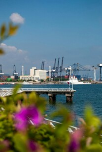 港口风光 繁花点缀海景