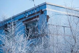 冬日覆雪的建筑与树木