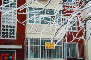 冬日屋檐下的晶莹冰挂