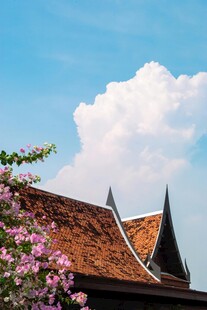 屋顶上的蓝天与烂漫繁花