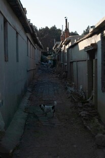 狭窄小巷中的民居景象