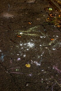 土壤中的多彩微量生物