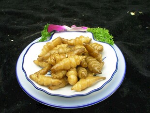 美味炸物摆于盘中