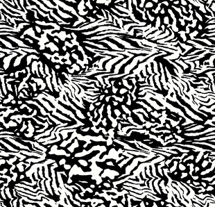 黑白斑马纹图案纹理