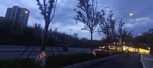 夜幕下的城市景观