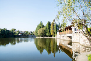 湖畔美景 宁静惬意的风光