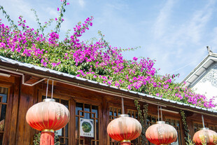 古宅繁花下的红灯笼