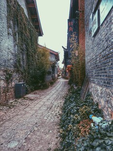 狭窄小巷中的静谧景象