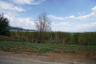 田野风光 宁静乡村景致