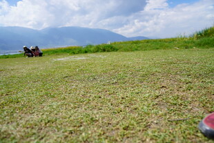 草原风光与远处的车辆