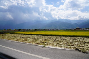 公路旁的田野与蓝天白云