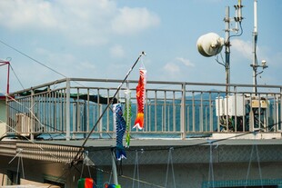 屋顶设施与飘扬的多彩旗帜