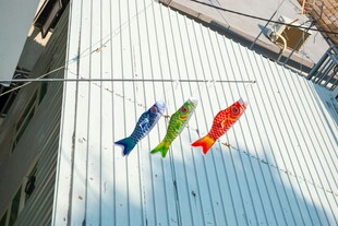 屋顶悬挂的多彩鲤鱼旗
