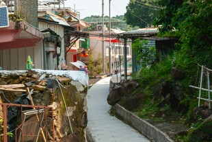 乡村小巷的生活景致