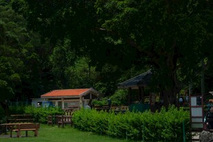 林间休闲小屋与户外设施