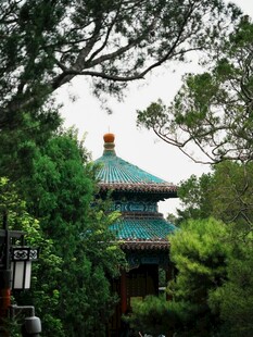 中式古建筑隐于绿树间