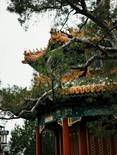 中式古亭与繁茂枝叶