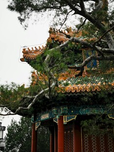 古典中式亭子一角