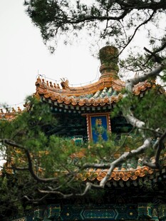 中式古建隐于葱郁松柏间