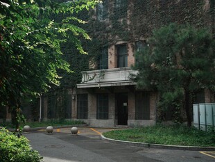 老旧建筑隐于绿植之中