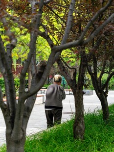 老人漫步于林荫小道