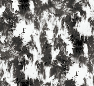 黑白水墨风格抽象