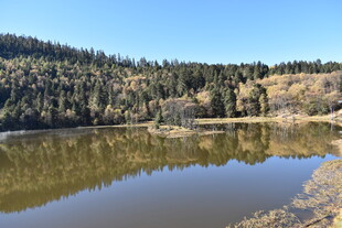 宁静山林中的清澈湖泊