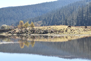 宁静湖畔山林美景