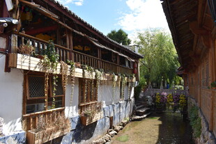 古雅水乡民居小巷景致