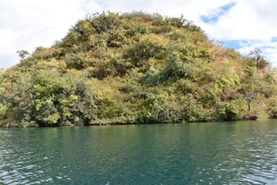 湖中小岛绿意盎然