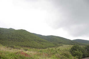 山间绿意盎然的自然风光